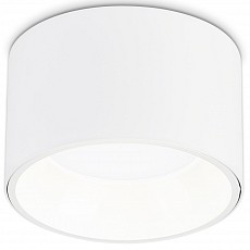 Накладной светильник ambrella light tn tn52892